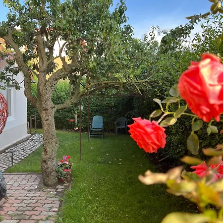 Rose With Garden & Freeparking Apartment Budapest