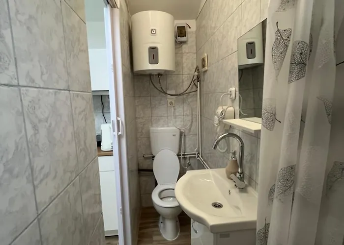 Rose With Garden & Freeparking Apartment Budapest