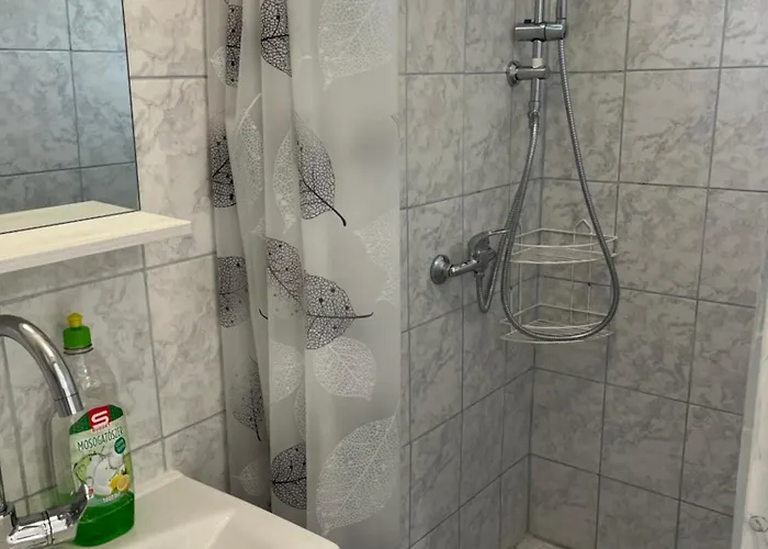 Apartment Rose With Garden & Freeparking Budapest