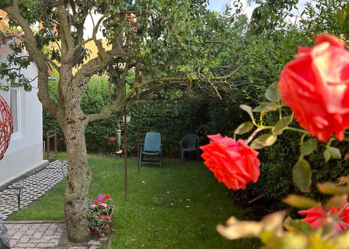 Rose With Garden & Freeparking Apartment Budapest