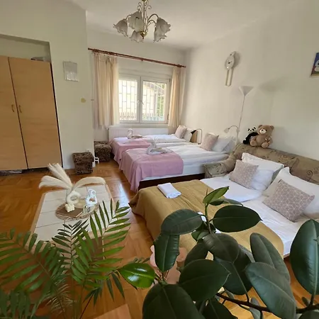 Rose With Garden & Freeparking