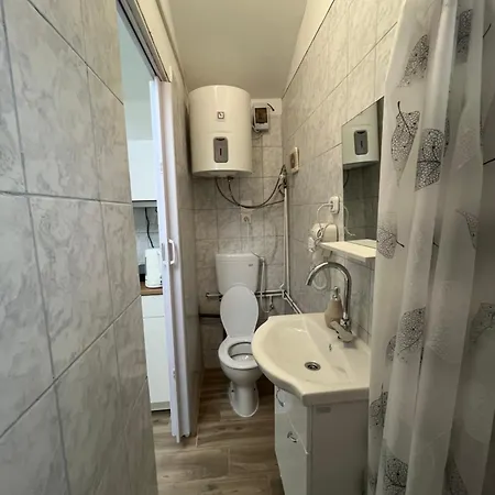 Rose With Garden & Freeparking Apartmán Budapešť