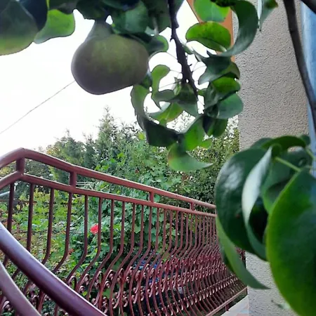 아파트 Rose With Garden & Freeparking