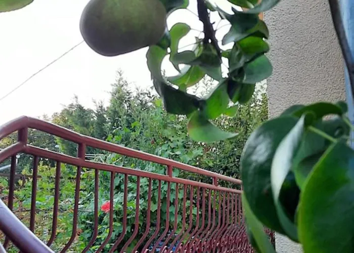 Appartamento Rose With Garden & Freeparking